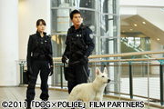 DOG×POLICE 純白の絆