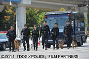 DOG×POLICE 純白の絆