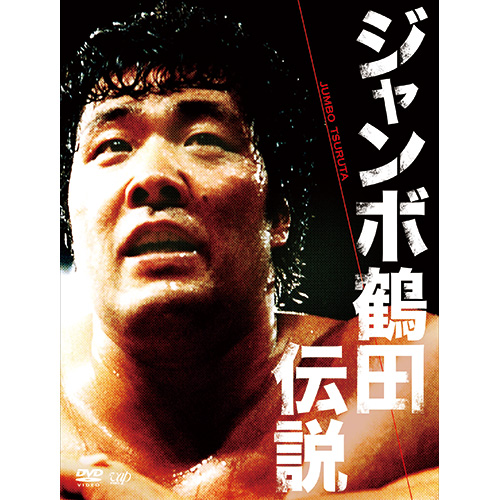 1985年 タカラ 激突 全日本プロレスゲーム 馬場鶴田天龍カブキ フィギュア 1985年 タカラ 激突 全日本プロレスゲーム 馬場鶴田天龍カブキ