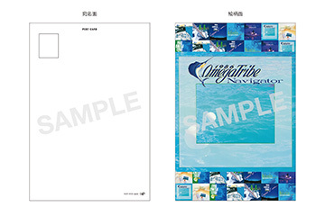 1986オメガトライブの名作アルバム2タイトルのリマスター盤11月22日（水）発売！｜VAP TOPICS