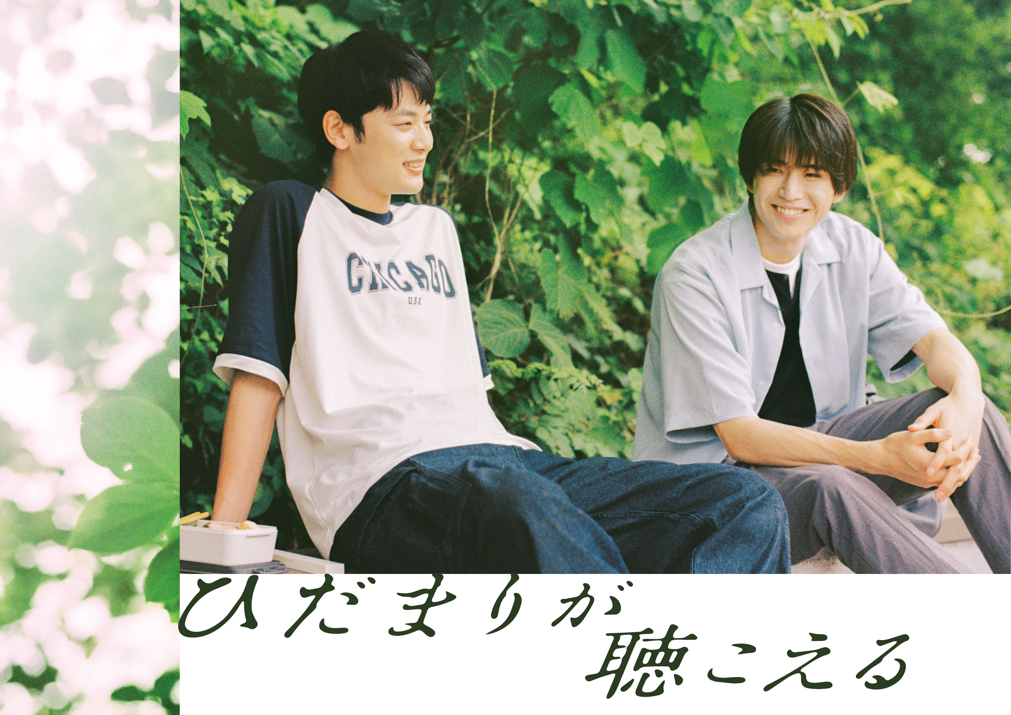 ひだまりが聴こえる【特典・サイン本あり】 8冊セット ひだまりが聴こえる」Blu-ray&DVD BOX 2025年1月29日(水) 発売