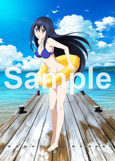 BD&DVD MUSIC｜極黒のブリュンヒルデ