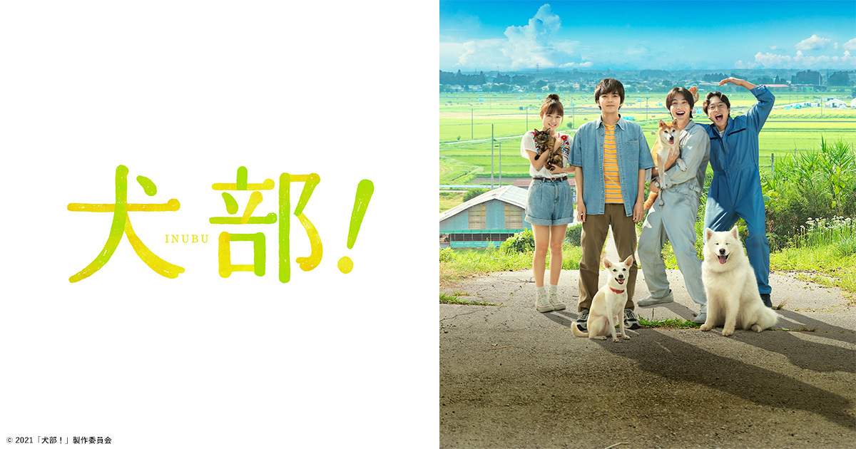 林遣都&amp;中川大志☆犬部!☆プレスシート 林 遣都×中川大志主演！映画『犬部！』予告篇 - YouTube
