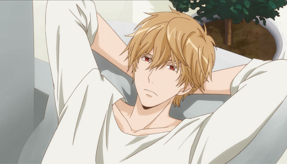 ストーリー | TVアニメ「オオカミ少女と黒王子」公式サイト