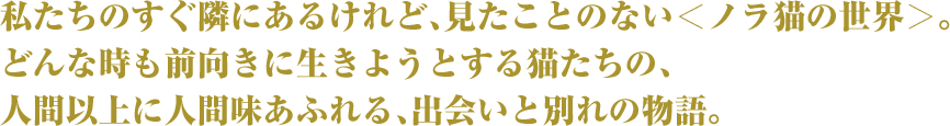 私たちのすぐ隣にあるけれど、見たことのない＜ノラ猫の世界＞。 どんな時も前向きに生きようとする猫たちの、 人間以上に人間味あふれる、出会いと別れの物語。 